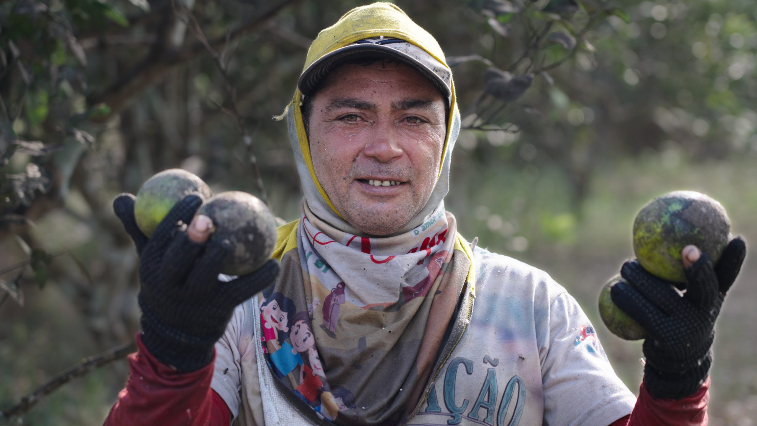 Demnächst: Genuss mit Beigeschmack - Orangen
