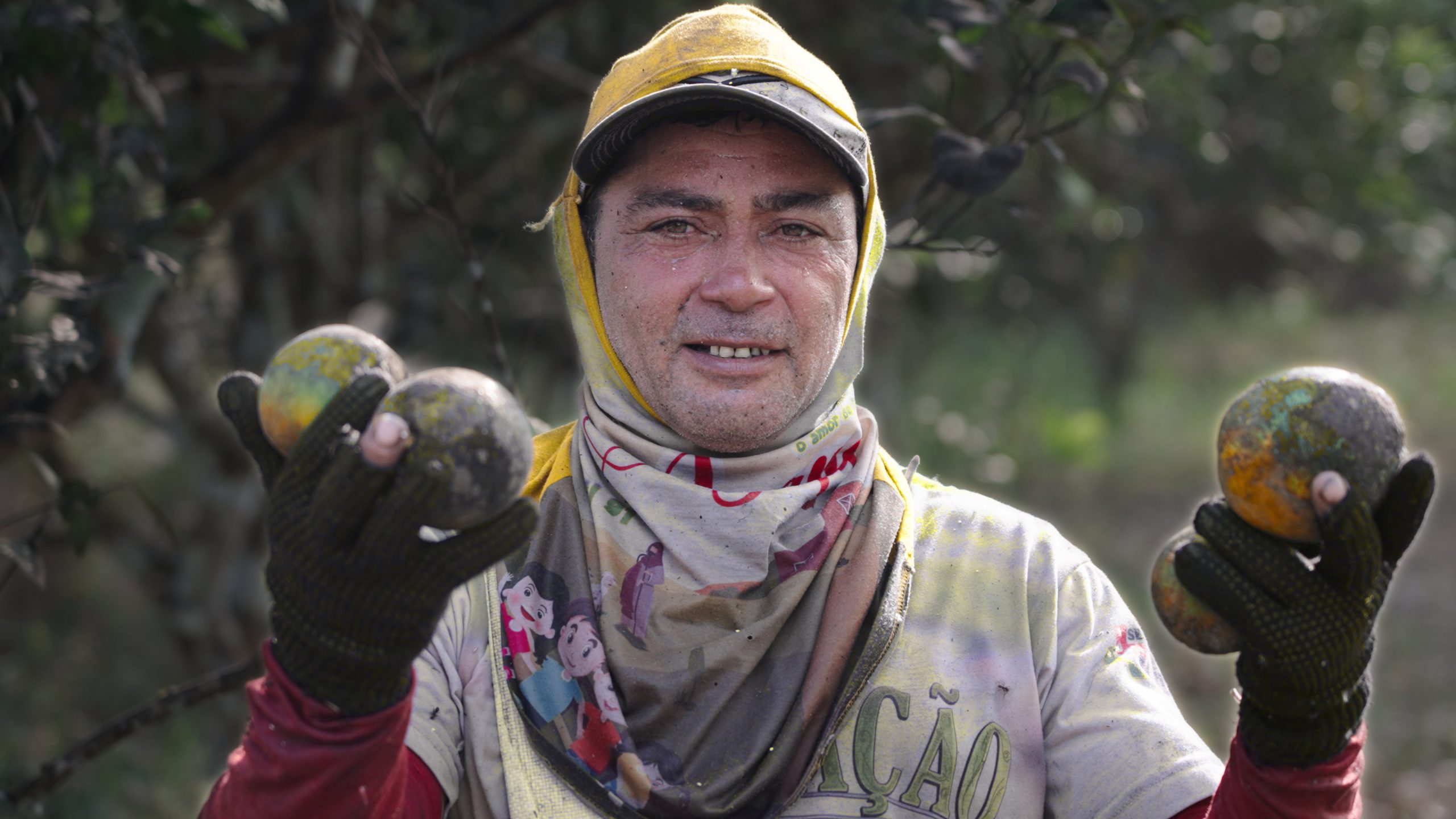 Demnächst: Genuss mit Beigeschmack - Orangen